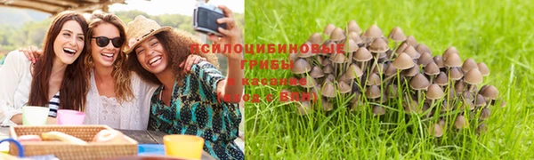 не бодяженный Володарск