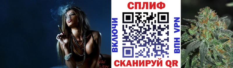 Купить где  Выкса  Канабис семена 